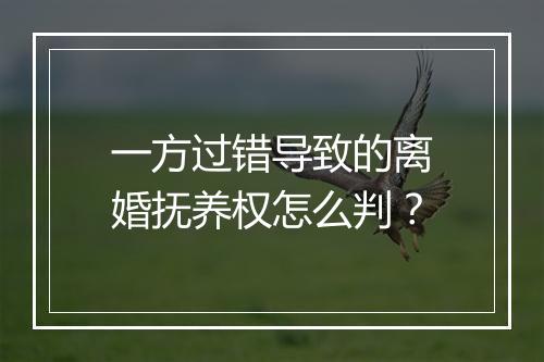 一方过错导致的离婚抚养权怎么判？