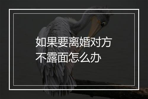 如果要离婚对方不露面怎么办