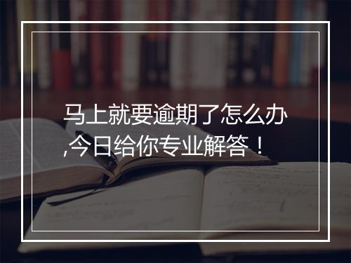 马上就要逾期了怎么办,今日给你专业解答！