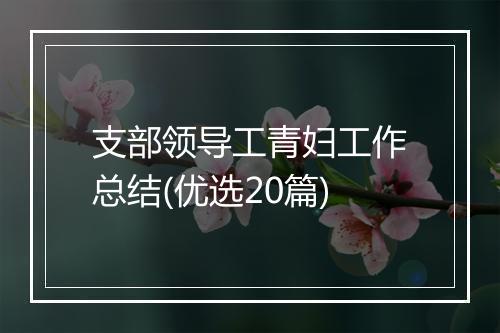 支部领导工青妇工作总结(优选20篇)