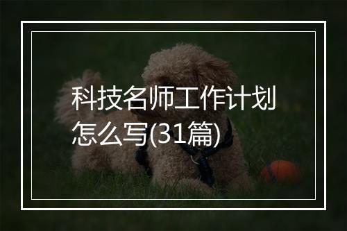 科技名师工作计划怎么写(31篇)