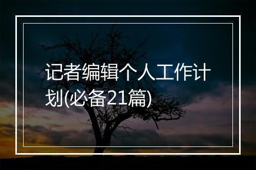 记者编辑个人工作计划(必备21篇)