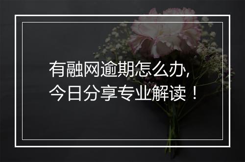 有融网逾期怎么办,今日分享专业解读！
