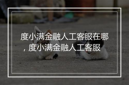 度小满金融人工客服在哪，度小满金融人工客服