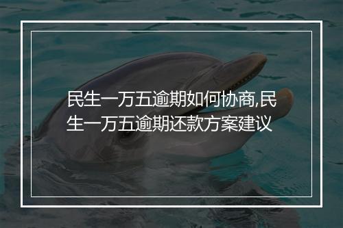 民生一万五逾期如何协商,民生一万五逾期还款方案建议