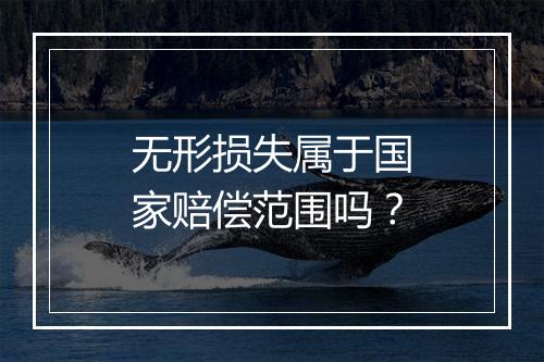 无形损失属于国家赔偿范围吗？