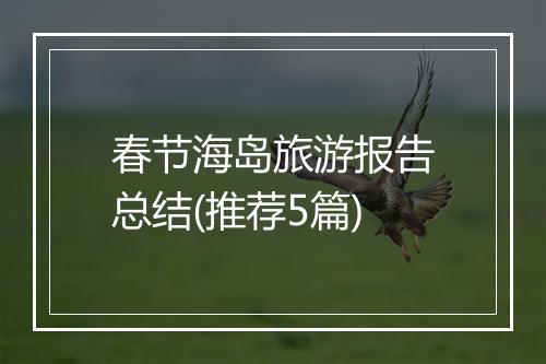 春节海岛旅游报告总结(推荐5篇)