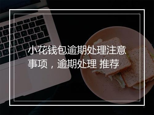 小花钱包逾期处理注意事项，逾期处理 推荐