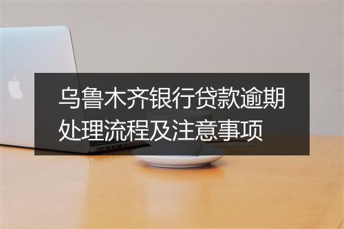 乌鲁木齐银行贷款逾期处理流程及注意事项