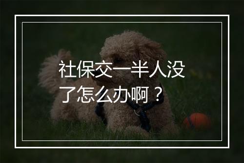 社保交一半人没了怎么办啊？
