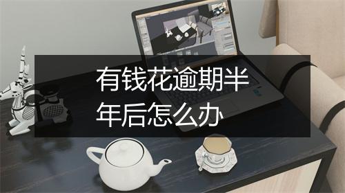 有钱花逾期半年后怎么办