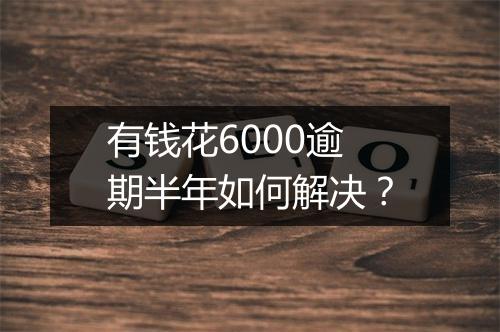 有钱花6000逾期半年如何解决？