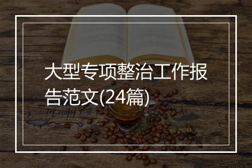 大型专项整治工作报告范文(24篇)