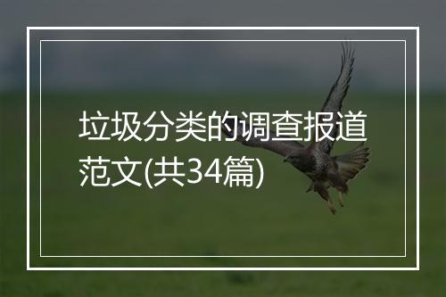 垃圾分类的调查报道范文(共34篇)