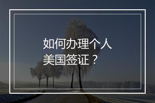 如何办理个人美国签证？