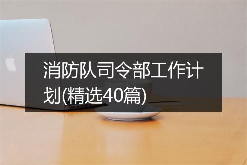 消防队司令部工作计划(精选40篇)