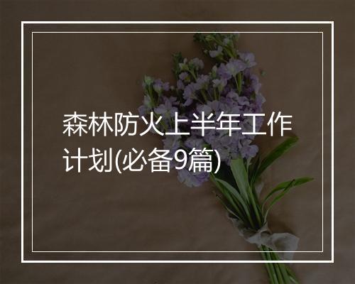 森林防火上半年工作计划(必备9篇)