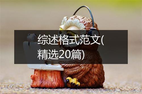 综述格式范文(精选20篇)