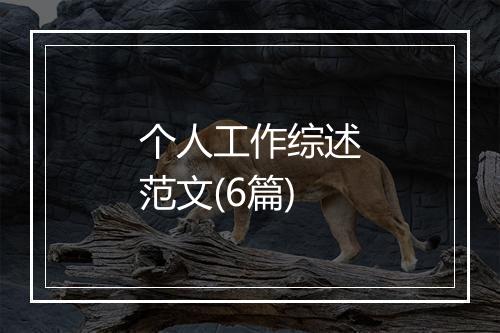 个人工作综述范文(6篇)