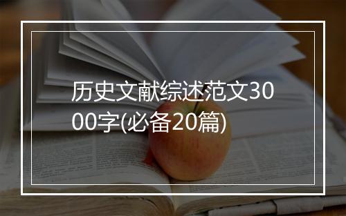 历史文献综述范文3000字(必备20篇)
