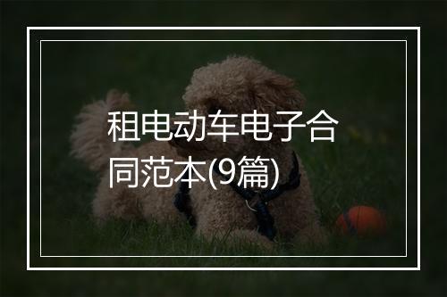 租电动车电子合同范本(9篇)
