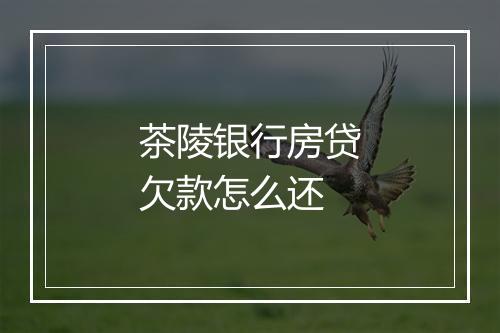 茶陵银行房贷欠款怎么还
