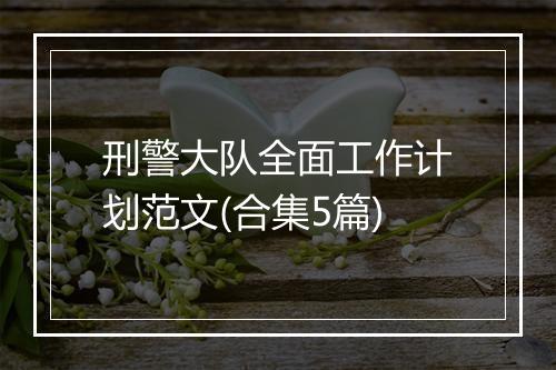 刑警大队全面工作计划范文(合集5篇)