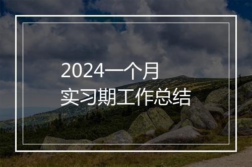 2024一个月实习期工作总结