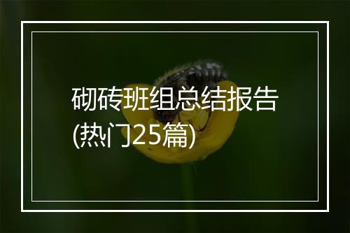 砌砖班组总结报告(热门25篇)