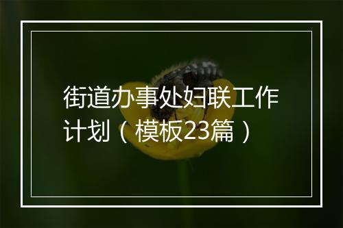 街道办事处妇联工作计划（模板23篇）