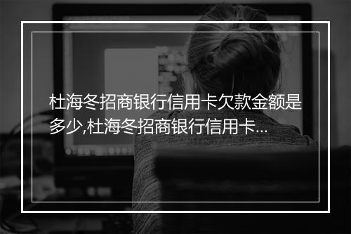 杜海冬招商银行信用卡欠款金额是多少,杜海冬招商银行信用卡欠款详细数额