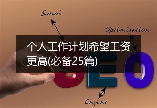 个人工作计划希望工资更高(必备25篇)