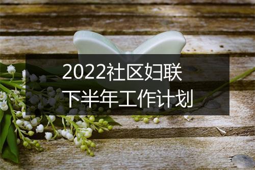 2022社区妇联下半年工作计划