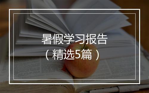 暑假学习报告（精选5篇）