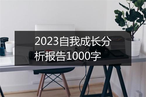 2023自我成长分析报告1000字
