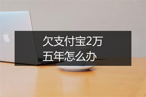 欠支付宝2万五年怎么办