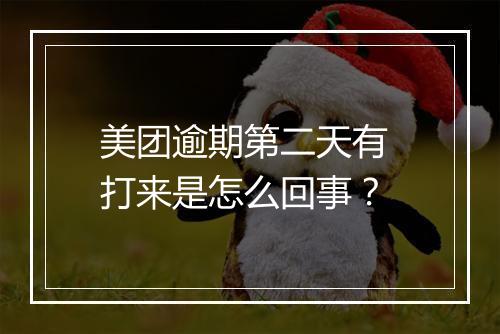 美团逾期第二天有 打来是怎么回事？