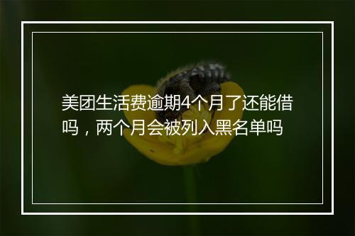 美团生活费逾期4个月了还能借吗，两个月会被列入黑名单吗