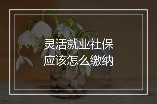 灵活就业社保应该怎么缴纳