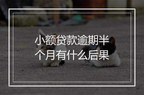 小额贷款逾期半个月有什么后果
