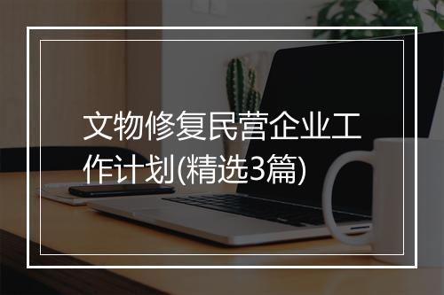 文物修复民营企业工作计划(精选3篇)