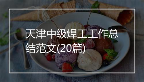 天津中级焊工工作总结范文(20篇)