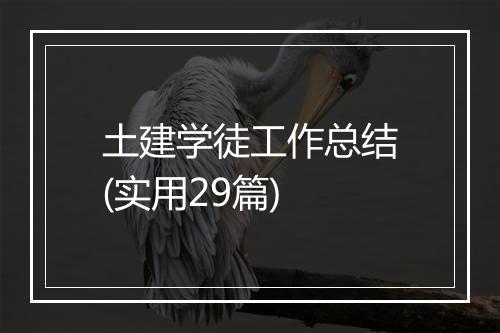 土建学徒工作总结(实用29篇)