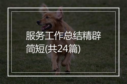 服务工作总结精辟简短(共24篇)