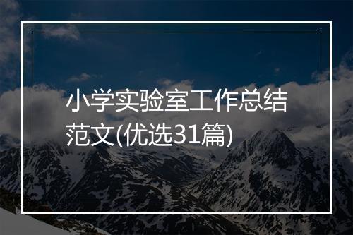 小学实验室工作总结范文(优选31篇)