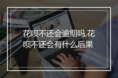 花呗不还会逾期吗,花呗不还会有什么后果