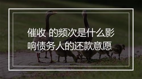 催收 的频次是什么影响债务人的还款意愿