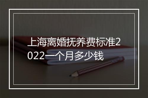 上海离婚抚养费标准2022一个月多少钱