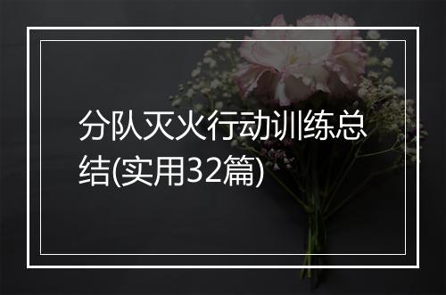 分队灭火行动训练总结(实用32篇)