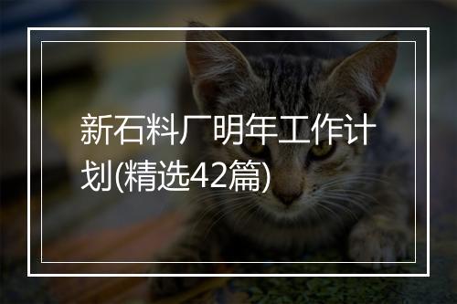 新石料厂明年工作计划(精选42篇)